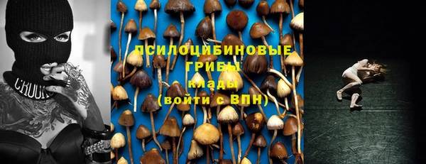 2c-b Гусиноозёрск