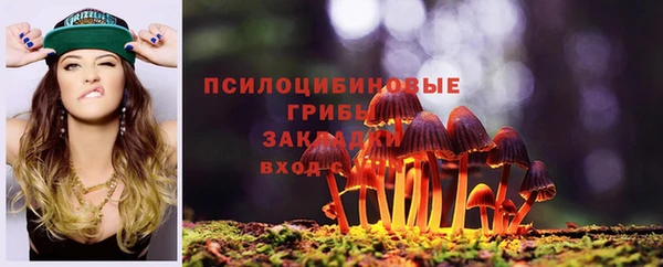 2c-b Гусиноозёрск