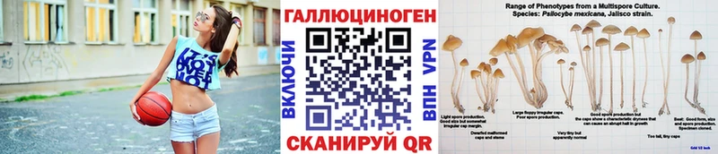 Псилоцибиновые грибы мухоморы  Купить закладки  Волгореченск 