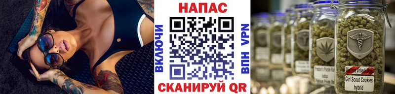 Каннабис MAZAR  Купить  Волгореченск 